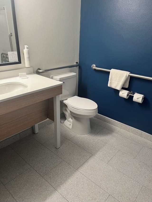 Room, 1 King Bed, Accessible (Roll-In Shower)