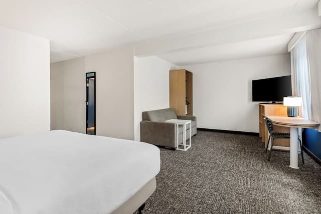 Room, 1 King Bed with Sofa bed, Accessible, Bathtub (Mobility)