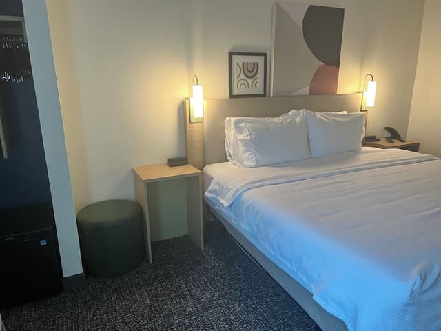 Room, 1 King Bed, Accessible (Roll-In Shower)