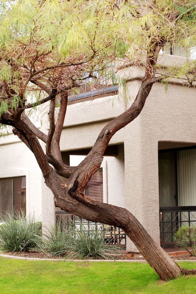 Raintree At Worldmark Phoenix South Mountain Preserve1