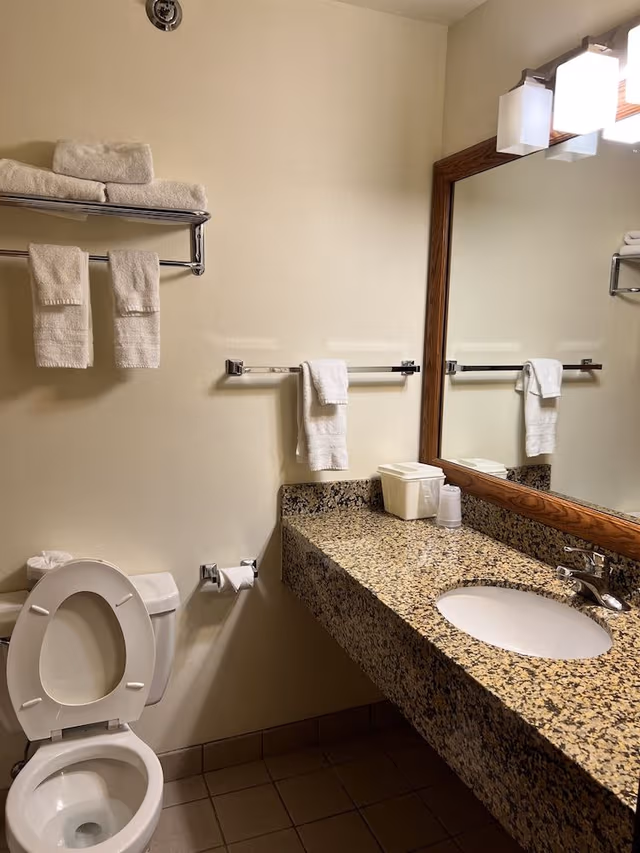 Suite, 1 King Bed