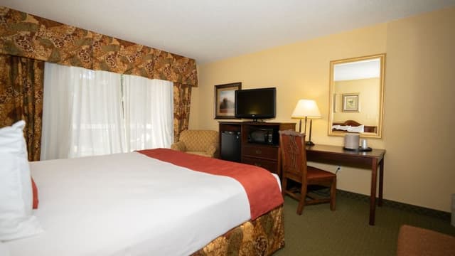 Standard Room, 1 King Bed, Non Smoking