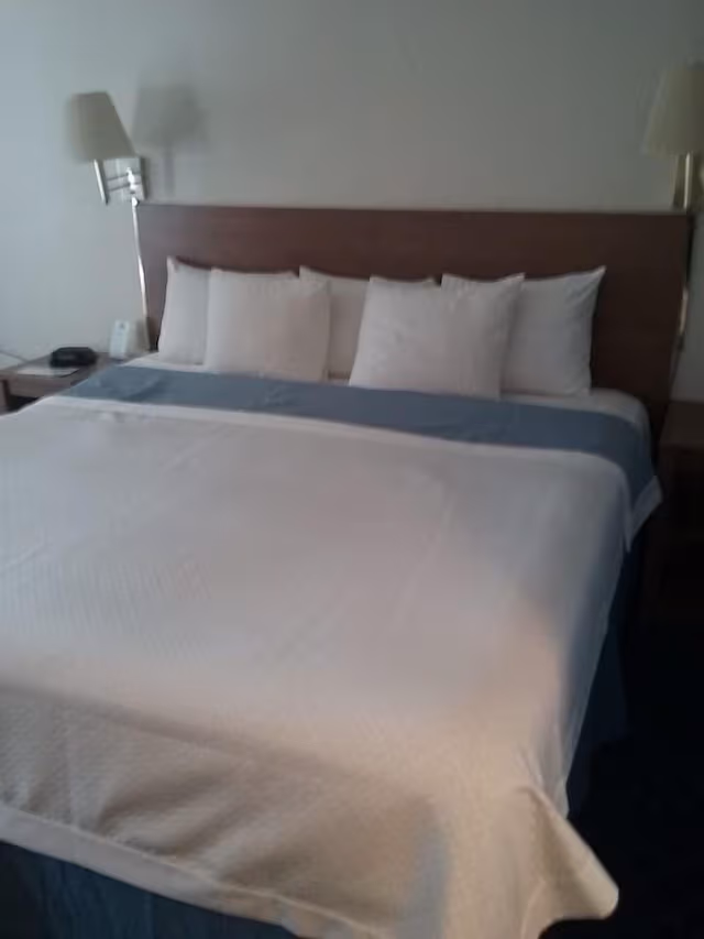 Standard Room, 1 King Bed, Non Smoking