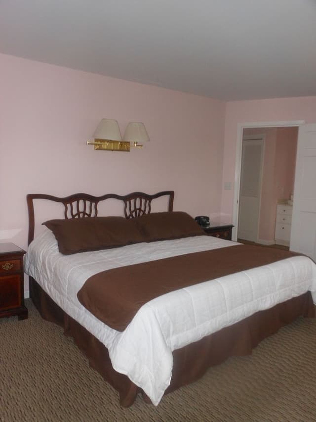 Standard apartment, 1 king bed with sofa bed (No staircase, porch steps-not wheelchair accessible)