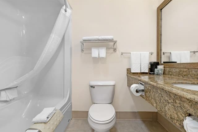 Standard Room, 1 King Bed, Accessible, Bathtub (with Sofabed)