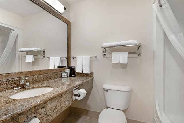 Standard Room, 1 King Bed, Accessible, Bathtub (with Sofabed)