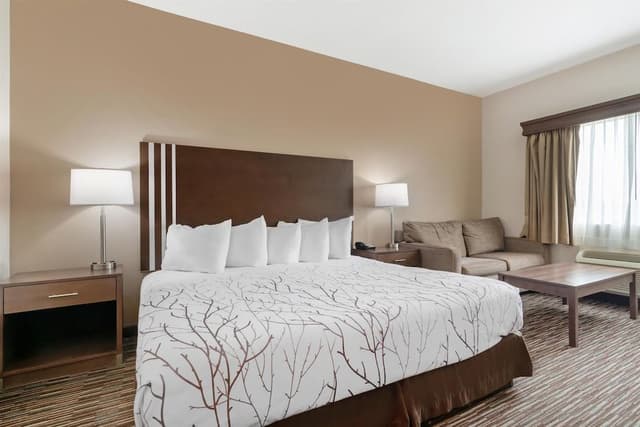 Standard Room, 1 King Bed, Accessible, Bathtub (with Sofabed)