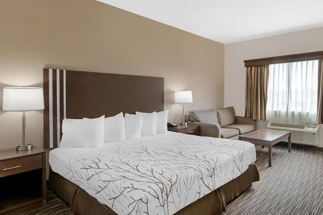 Standard Room, 1 King Bed, Accessible, Bathtub (with Sofabed)