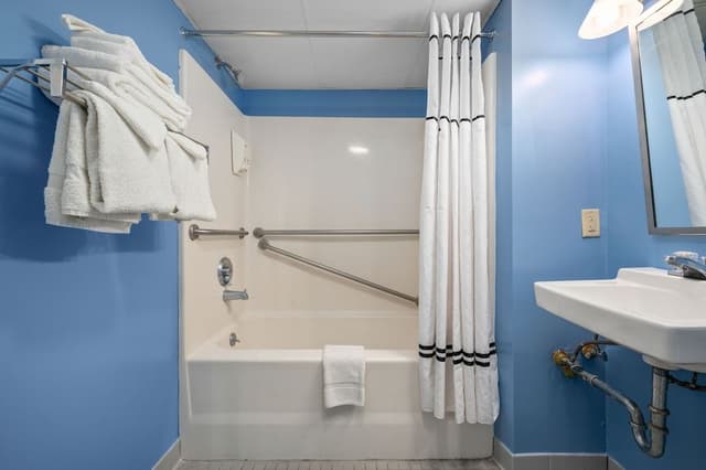 Suite, 1 Queen Bed with Sofa bed, Pets Allowed (Accessible)