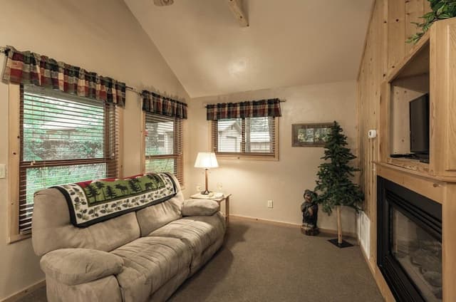 Cabin with Gas Fireplace - Cabin 304