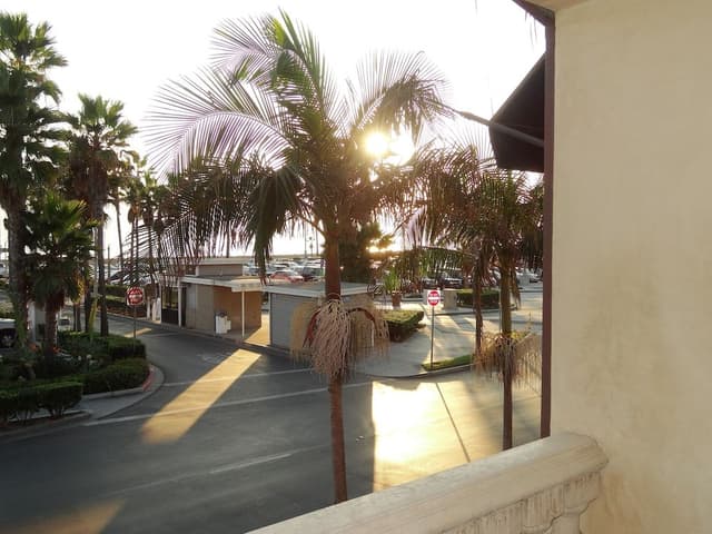 Suite, Ocean View