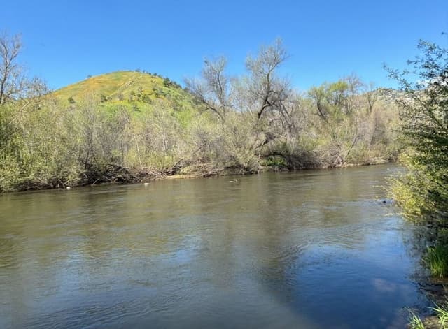 2 Bedroom River Front Cabin with a Loft #10