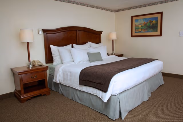 Deluxe Room, 1 King Bed with Sofa bed