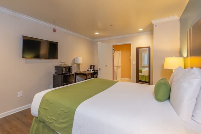 Room, 1 Queen Bed, Mobility Accessible