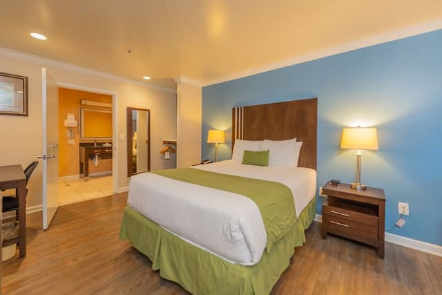 Room, 1 Queen Bed, Mobility Accessible