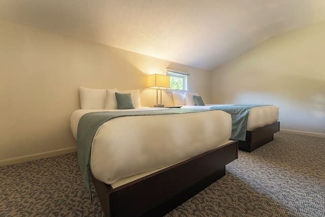 Loft Suite