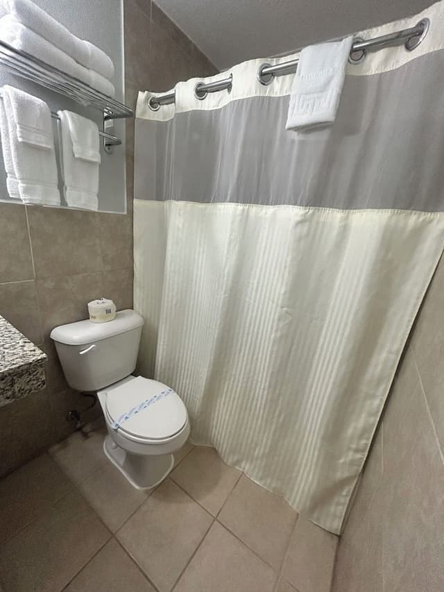 Room, 1 King Bed, Non Smoking
