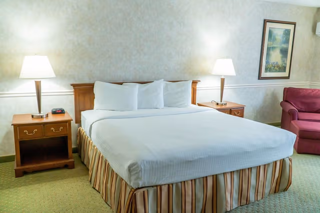 Standard Room, 1 King Bed, Non Smoking