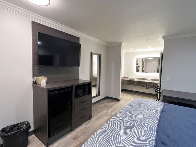 Deluxe Single Room, 1 King Bed