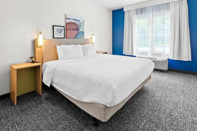 Room, 1 King Bed