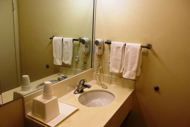 Deluxe Room, 1 King Bed, Non Smoking, Refrigerator & Microwave