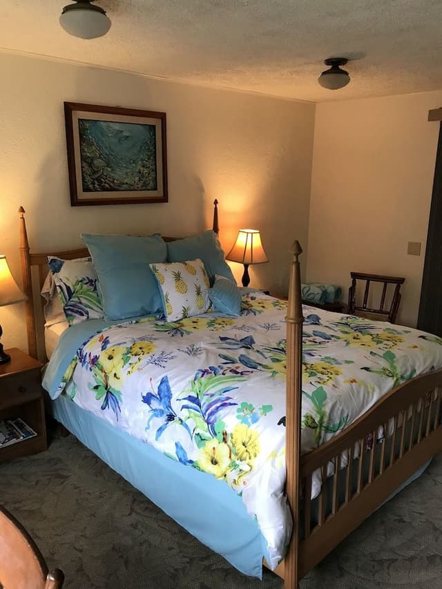 Room, 1 Queen Bed (Pikaki Room)