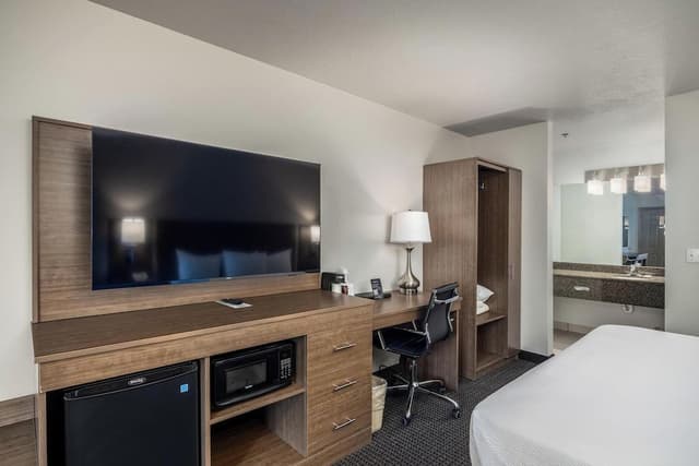 Standard Room, 1 King Bed with Sofa bed