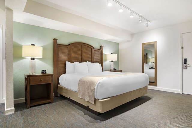 Standard Studio, 1 King Bed, Non Smoking, Kitchenette (Street View)