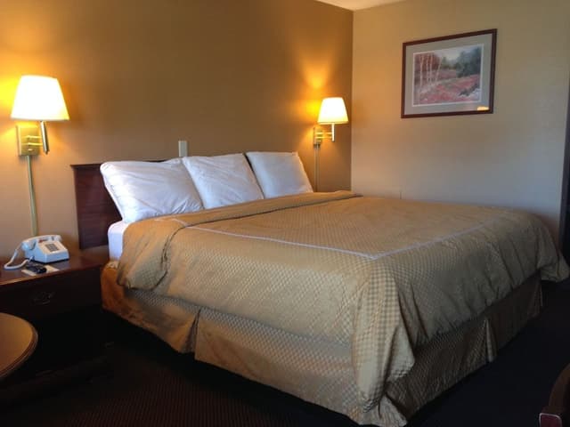 Standard Room, 1 King Bed, Non Smoking