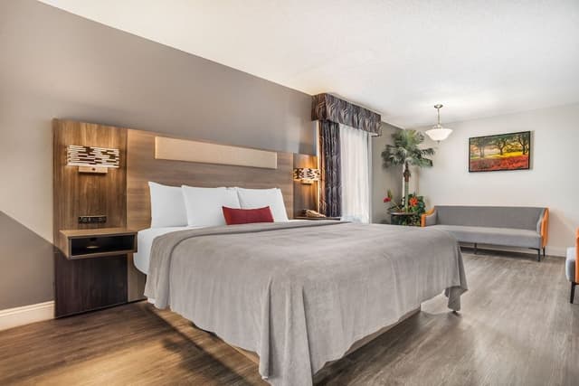 Standard Room, 1 King Bed, Non Smoking