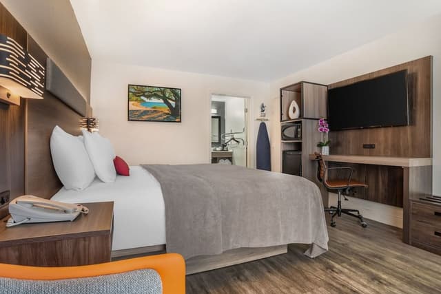 Single Room, 1 Queen Bed, Accessible, Non Smoking