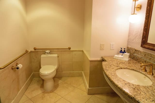 Premier Room, 1 King Bed, Patio, Courtyard Area