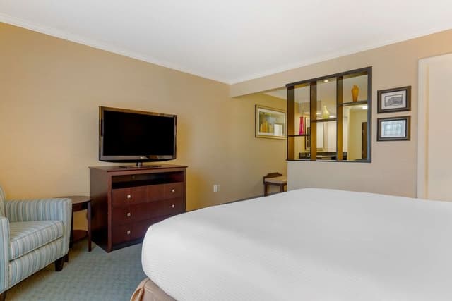 Suite, 1 King Bed, Non Smoking, Refrigerator & Microwave (with Sofabed)