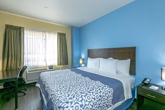 Standard Studio Suite, 1 King Bed with Sofa bed, Accessible