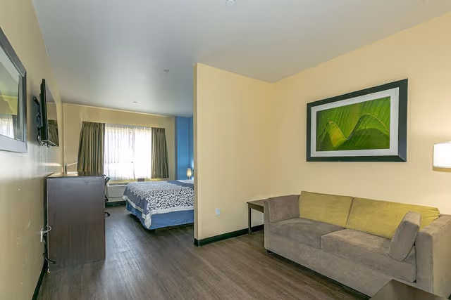 Standard Studio Suite, 1 King Bed with Sofa bed, Accessible