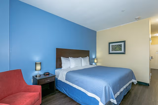 Standard Single Room, 1 King Bed