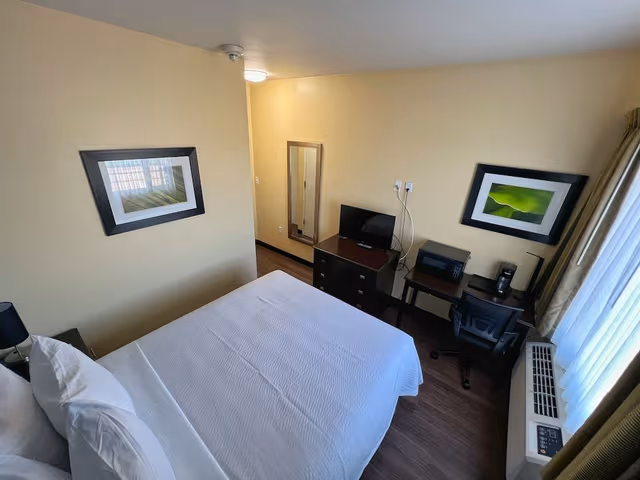 Standard Single Room, 1 Queen Bed, Accessible