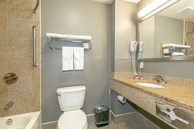 Standard Studio Suite, 1 King Bed with Sofa bed