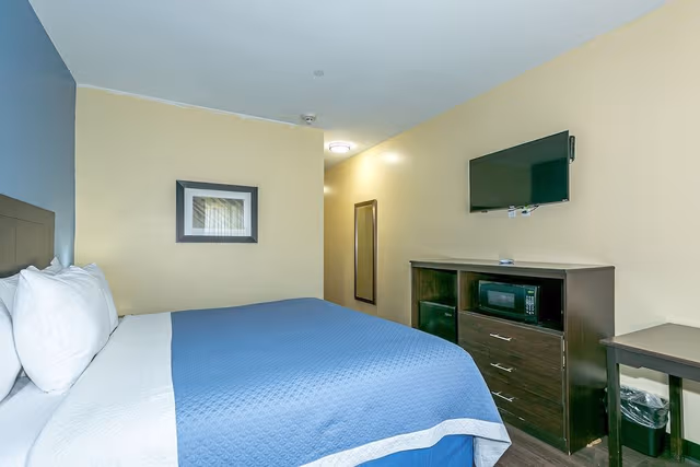 Standard Single Room, 1 King Bed