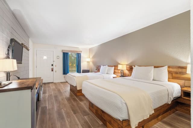 Deluxe Room, Non Smoking