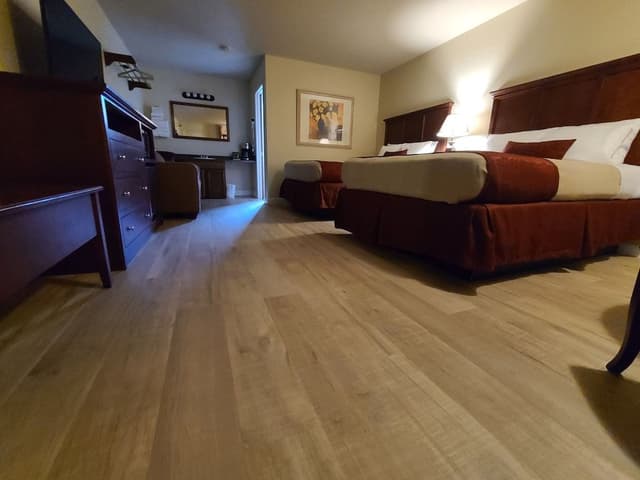 Superior Room, Non Smoking (2 Queens and Sofabed)