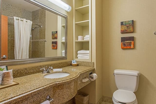 1bedroom suite w/living room w/sofabed