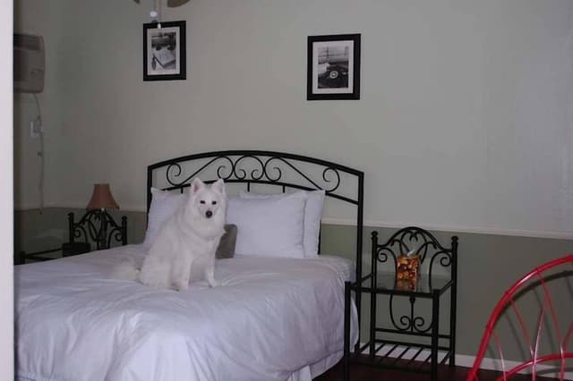 Room, 1 Queen Bed, Kitchen