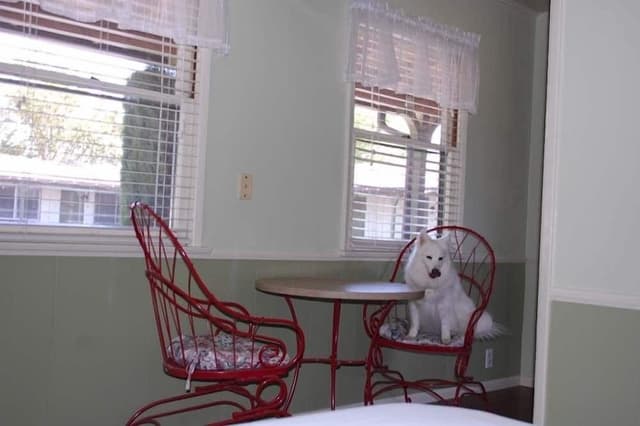 Room, 1 Queen Bed, Kitchen
