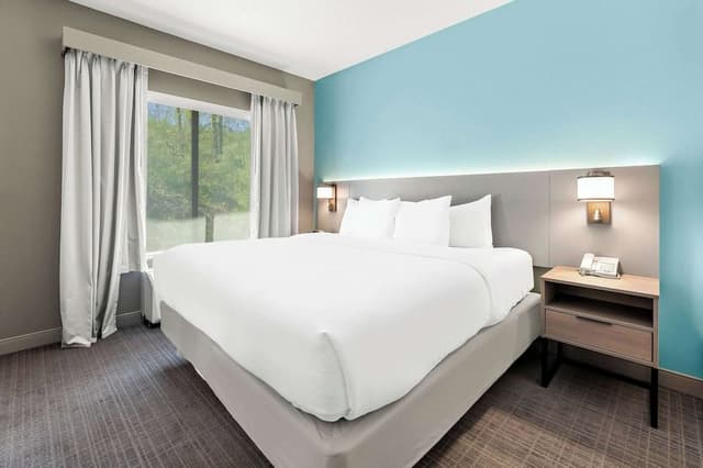 Single Room, 1 King Bed with Sofa bed, Non Smoking (Efficiency)