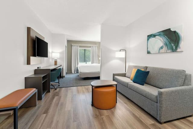 Single Room, 1 King Bed with Sofa bed, Non Smoking (Efficiency)