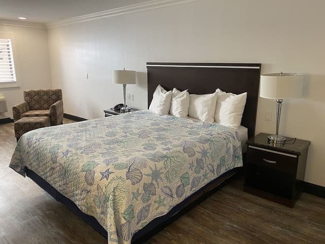 Economy Room, 1 King Bed, Refrigerator & Microwave
