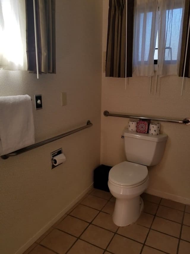 Studio, 1 King Bed, Accessible (King Studio ADA)