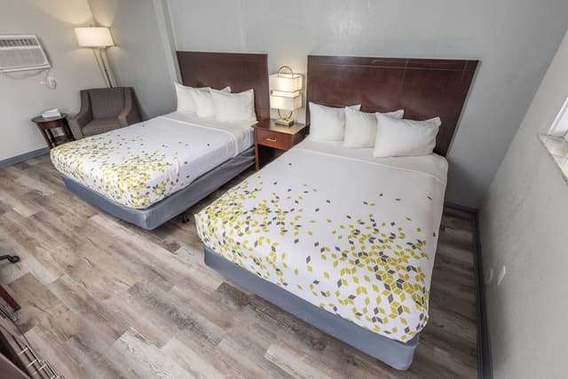 Premium Room, 2 Queen Beds