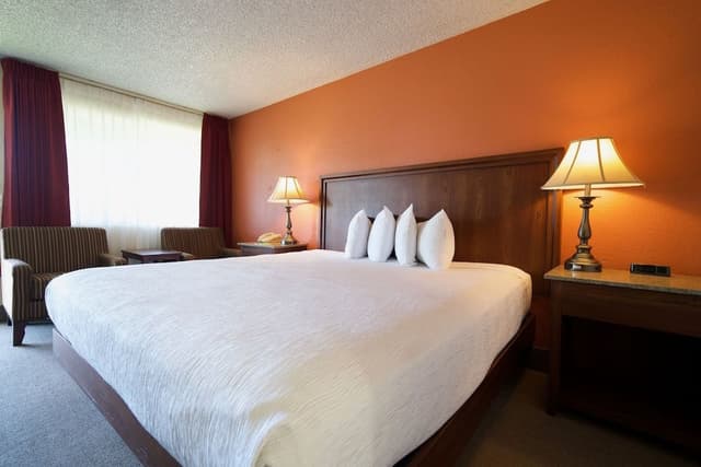 Standard Room, 1 King Bed, Non Smoking, Courtyard View